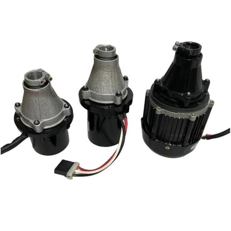 Fishing Boat Oar - Motore Fuoribordo Brushless 12V-60V 500W-1500W per