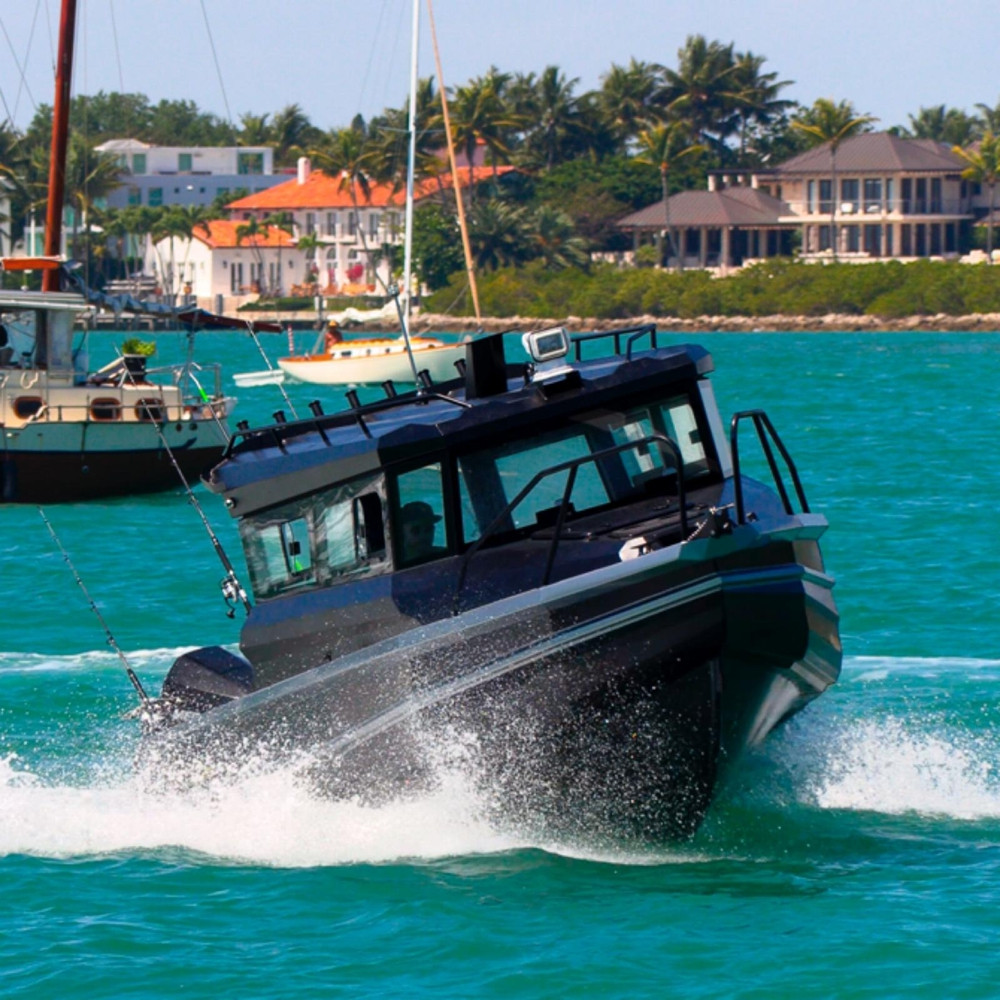 Barca da Pesca in Alluminio 18 - Fishing Boat Trailer recensione e prezzo